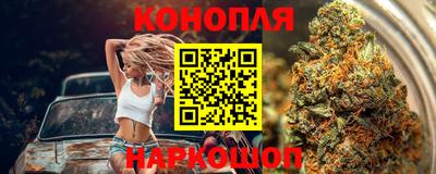 спиды Камышлов