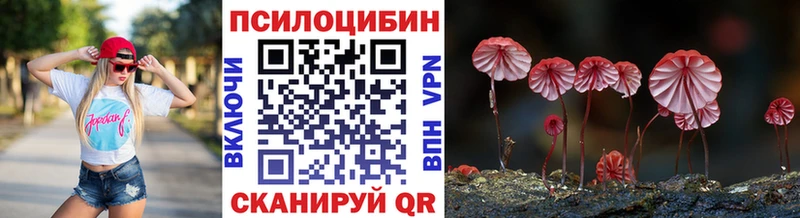 Псилоцибиновые грибы GOLDEN TEACHER  МЕГА зеркало  Котельники  закладка 